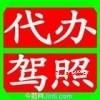 路政機(jī)動(dòng)車駕駛員培訓(xùn)基地 專業(yè)駕駛技能與安全意識(shí)的搖籃